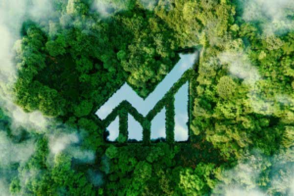 多家快递企业调整收件价格